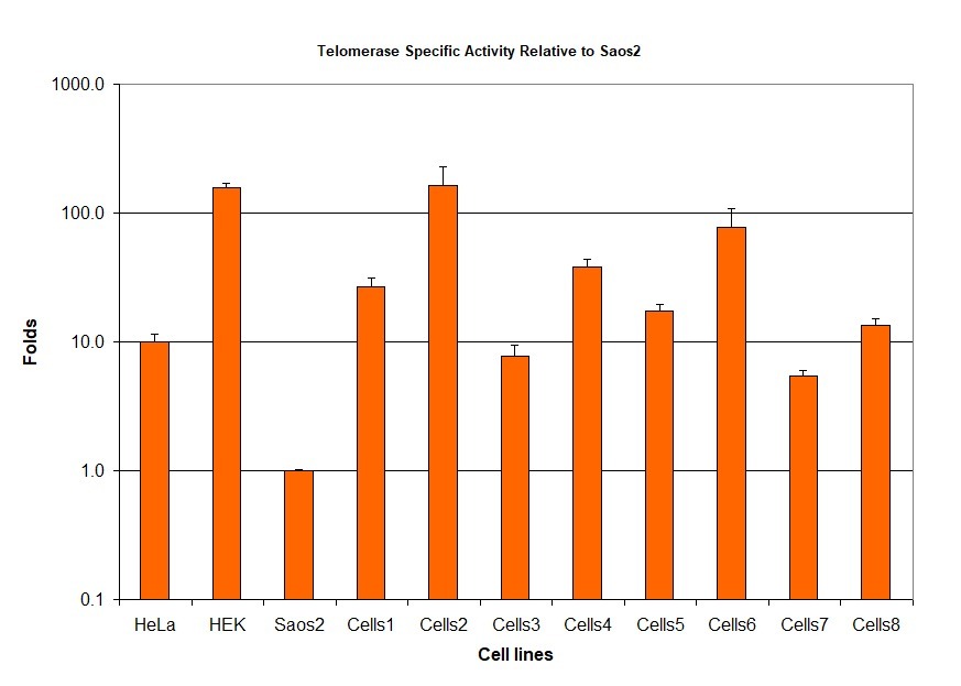 Telomerase activity cell lines